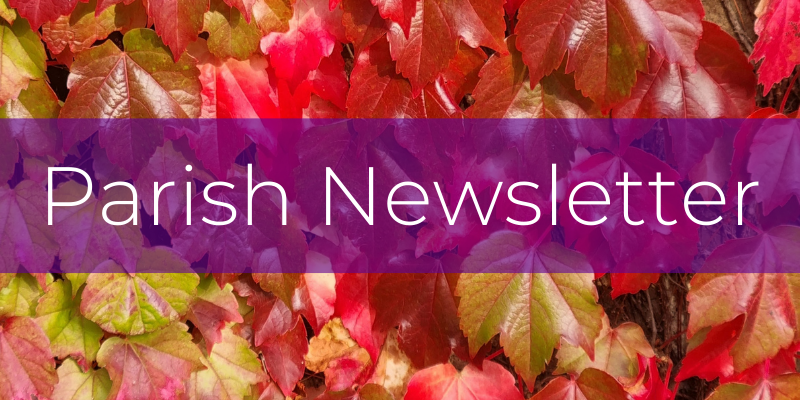 Weekly Parish Newsletter * Click here to read the latest weekly newsletter to find out what's happening in the parish.